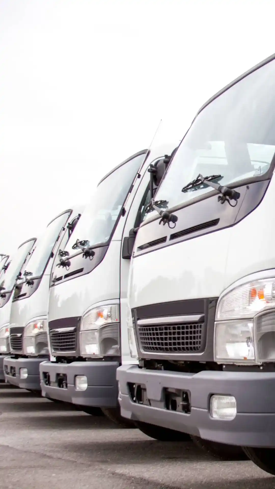 seguros para flotillas